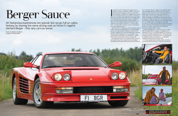 Issue 309 - Image 3