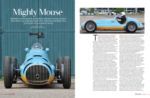 Issue 257 - Image 4